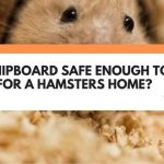 Is Chipboard Safe Enough To Use For A Hamsters Home?