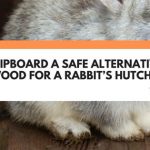 is chipboard safe for rabbits