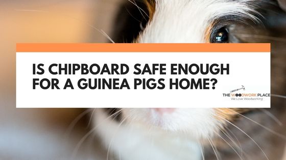 is chipboard safe for guinea pigs